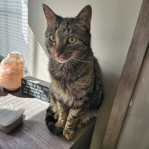 Meet your Posher, Dani! - Picture 7 of 9